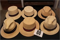 SIX PANAMA HATS