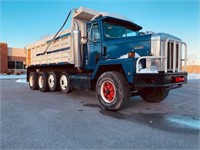 1989 INTERNATIONAL PAYSTAR 500 QUAD-AXLE DUMP TRUC