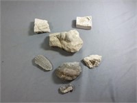 Fossil Rocks - D