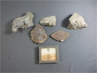 Fossil Rocks - A