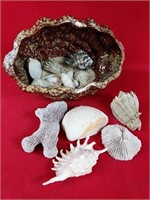 Large Ceramic Shell full of Shells