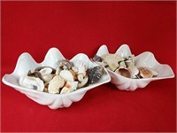 Two Large Shell Dishes full of Shells
