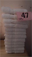 12 LIKE-NEW CANNON HAND TOWELS
