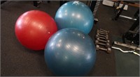 3 Exercise Balls-R55 & R65