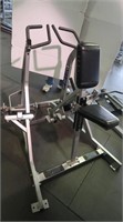 Hammer Strength Lateral Rower