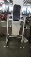 Hammer Strength Leg/Ab Raising Machine