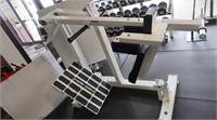 Paramount Total Leg Squat Machine