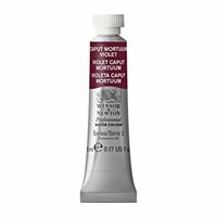(2) Winsor & Newton Professional Water Color Tube,