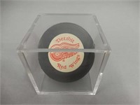 OFFICIAL NHL DETROIT RED WINGS HOCKEY PUCK / CASE