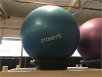 Blue 65cm Workout Ball - Not Stand