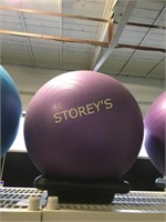 Purple 55cm Workout Ball - Not Stand