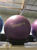 Purple 55cm Workout Ball - Not Stand