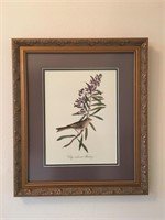 Fine Gilt Bird Picture - Framed Wall Art