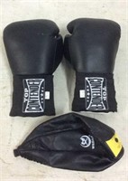 Top Contender Boxing Gloves & Speed Bag T14A