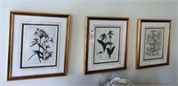 Set of (3) framed S/N floral colored etchings