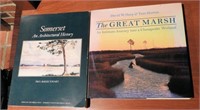 (2) local books: Somerset an Architectural History