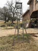 Antique 10' apple ladder
