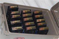 450 Rounds in 15 Magazines 5.56 & 300 BLK Out