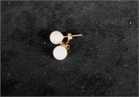 14K CULTURED PEARL EARRINGS 6.5M IN YG