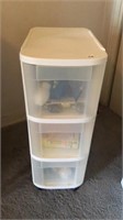 Plastic storage container with contents