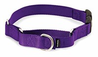 PetSafe Martingale Collar with Quick Snap Buckle,