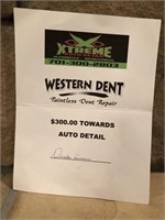 Western Dent Auto Detail