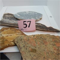 5PC SLICED AGATEVATIED COLORATION AND PETRIFIED