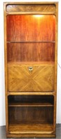 Lighted Wood Bookcase with Cabinet