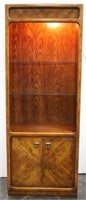 Lighted Bookcase with Cupboard