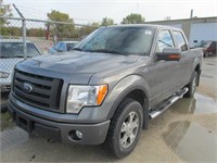 2010 FORD F150 FX4