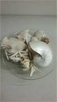 Glass bowl of nice shells