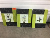 3 Green & Black Flower Pictures - 12 x 16