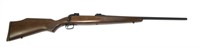 Savage Model 110 .270 WIN bolt action, 22" barrel,