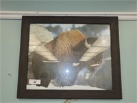 FRAMED BUFFALO PRINT