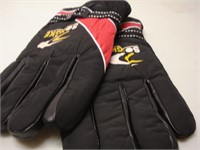 Padded Winter Gloves