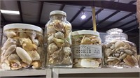 4 large jars of Seashells from the beaches of