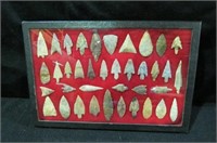FRAME OF 38 COLORFUL BIRD POINTS
