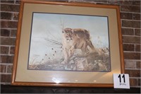 FRAMED, DOUBLE MATTED, SIGNED & NUMBERED COUGAR