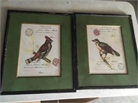 Lot of 2 bird pictures framed with $29 price tagsh