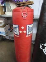 Everlast Punching Bag and Gloves