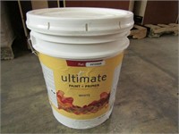 5 GALLON FLAT WHITE ULTIMATE PAINT AND PRIMER