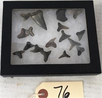 Lot of 16 arrowheads in case
