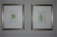 Pair of botanical prints in custom frames