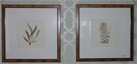 2 Botanical prints