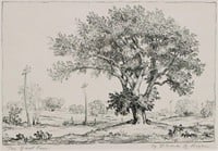 Charles B. Rodgers "The Great Tree" Lithograph