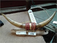 MOUNTED HORNS