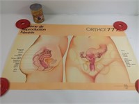 Affiche système reproduction féminin Ortho 777