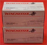 Winchester .22-250 Ammo