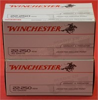 Winchester .22-250 Ammo