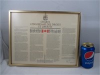 Charte canadienne des droits et libertés encadrée